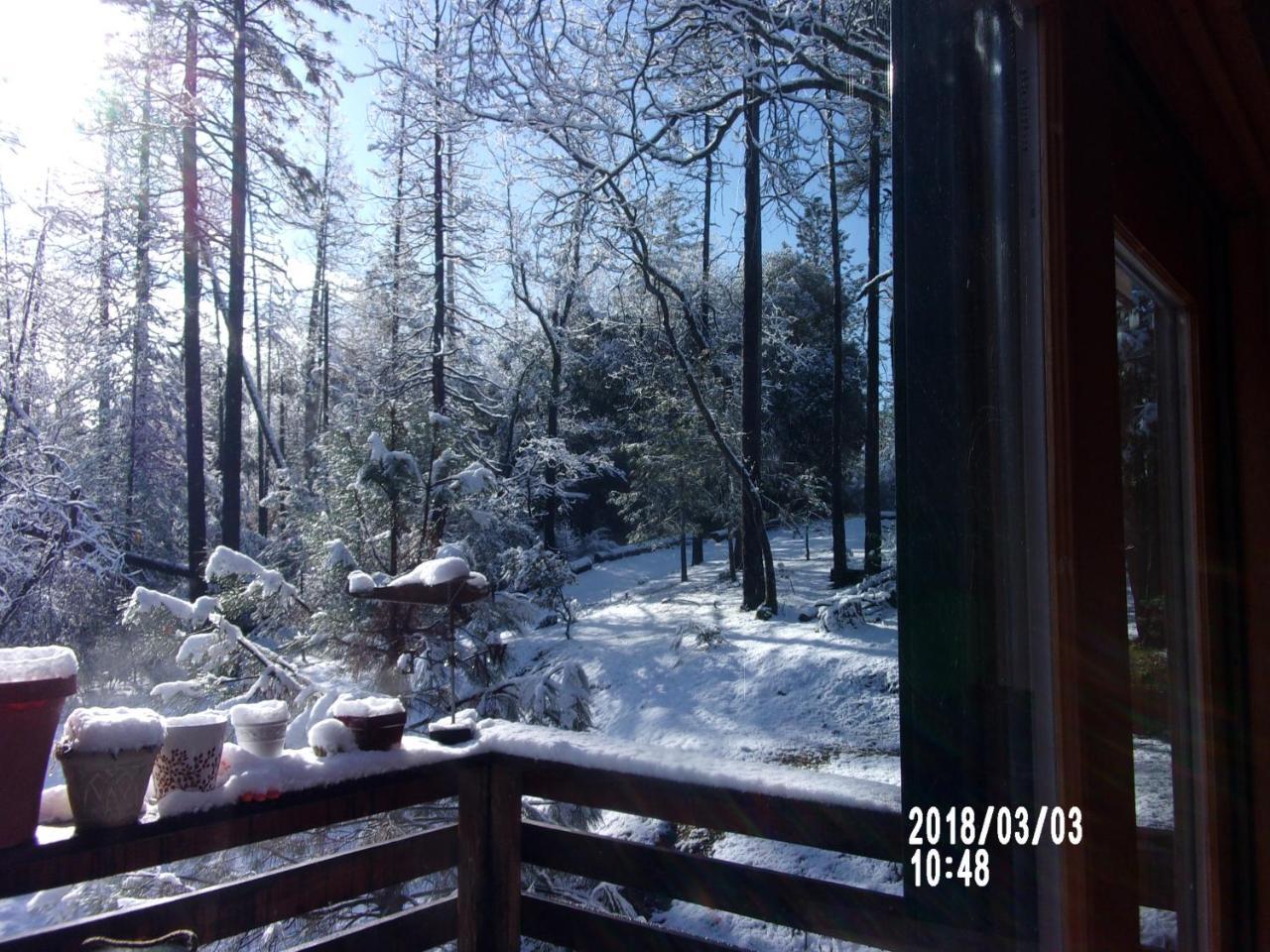 The Cub Inn B&B Groveland Exteriör bild